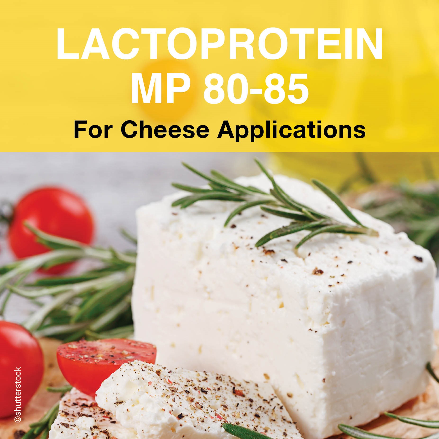 LactoProtein MP 80-85 (MPC 80-85%) | Lactoprot Deutschland GmbH ...